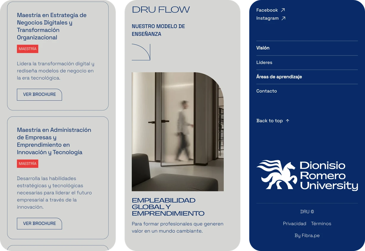 On three phones: the program cards, the DRU Flow carousel and the footer with the university logo